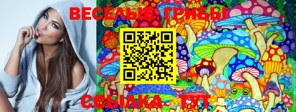 Галлюциногенные грибы MAGIC MUSHROOMS Лесной