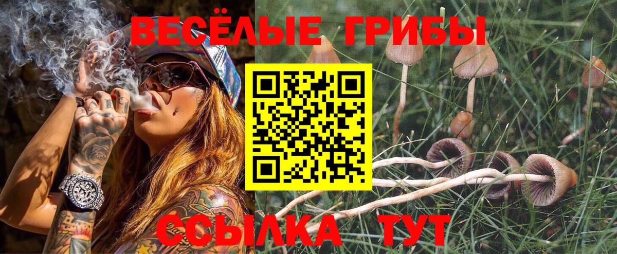 Лесной  Псилоцибиновые грибы Cubensis  Вход с VPN  Галлюциногенные грибы мухоморы 